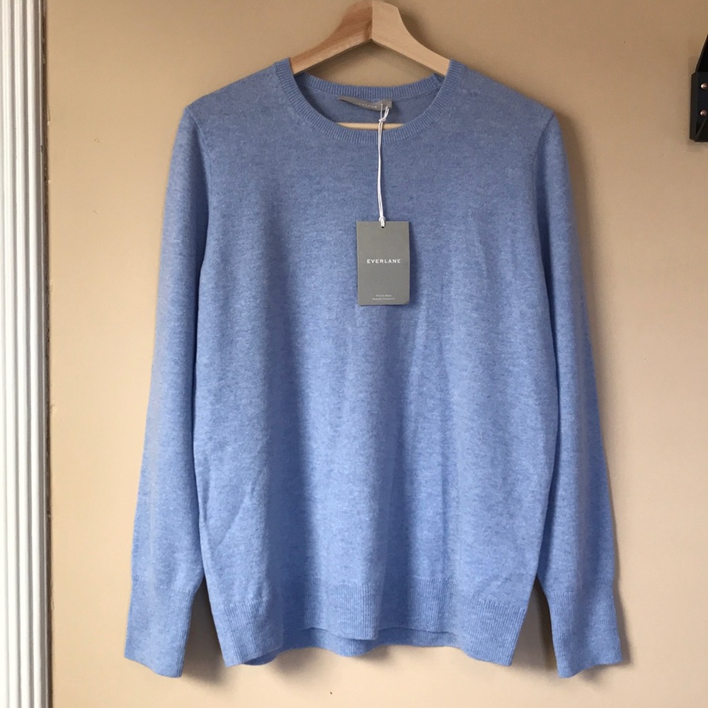 Everlane Cashmere Crew Sweater